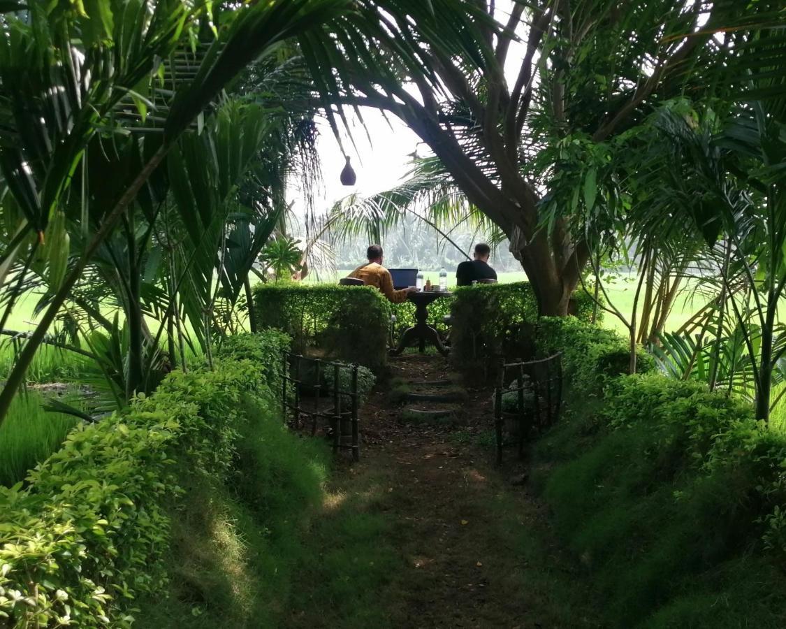 Viveka Inn Guest And Yala Safari Tissamaharama Kültér fotó