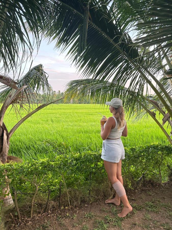 Viveka Inn Guest And Yala Safari Tissamaharama Kültér fotó