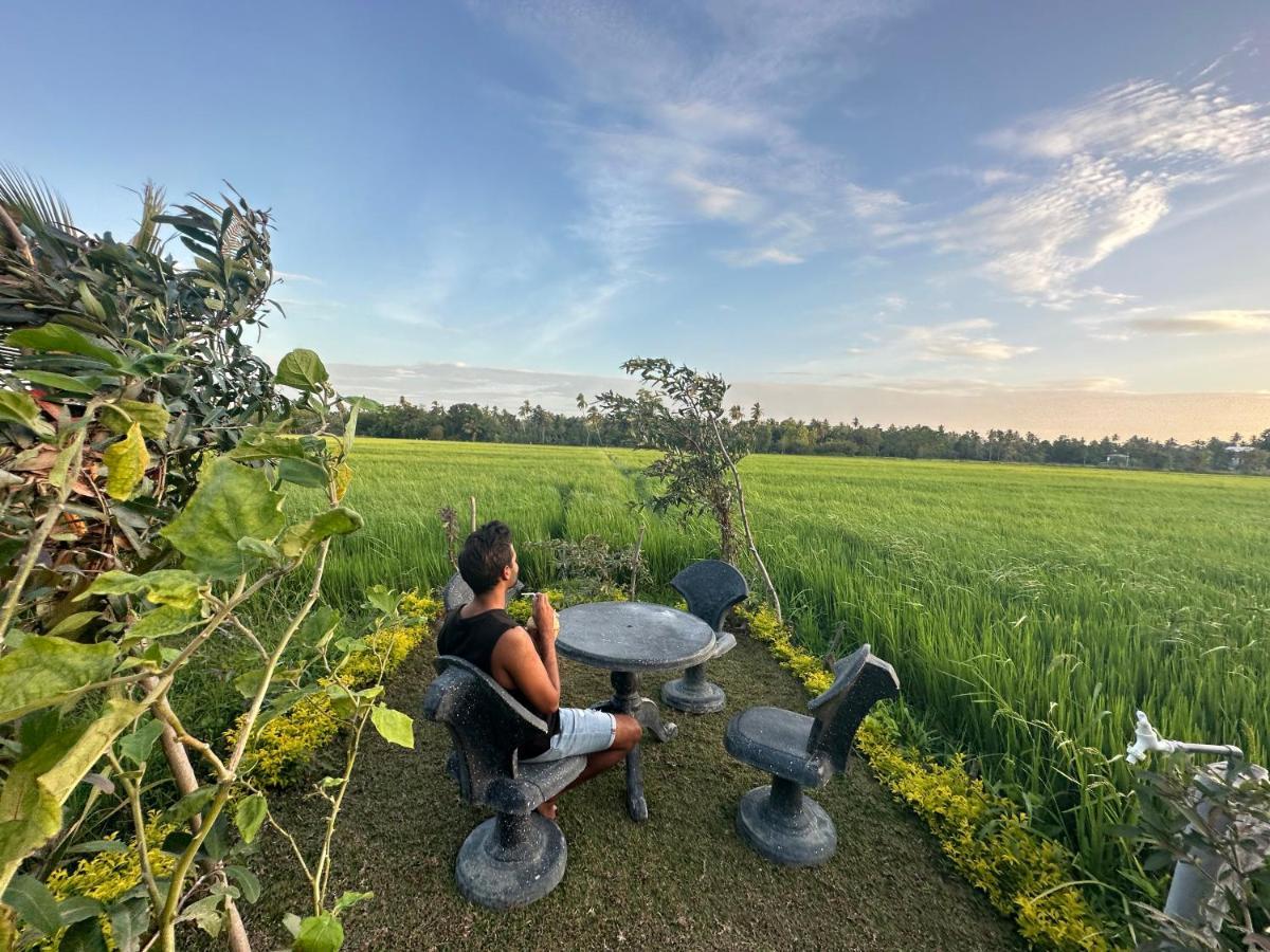 Viveka Inn Guest And Yala Safari Tissamaharama Kültér fotó