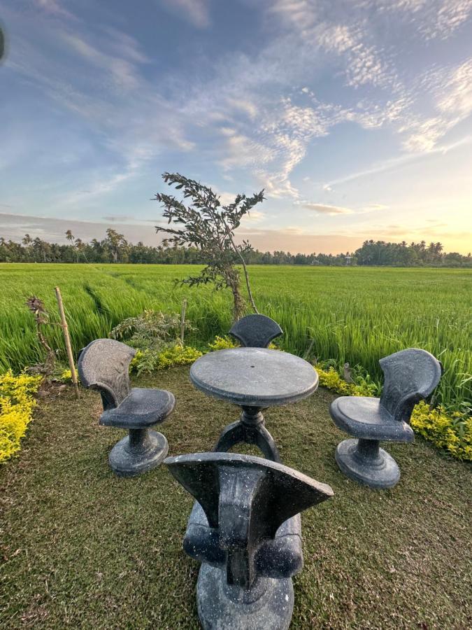 Viveka Inn Guest And Yala Safari Tissamaharama Kültér fotó