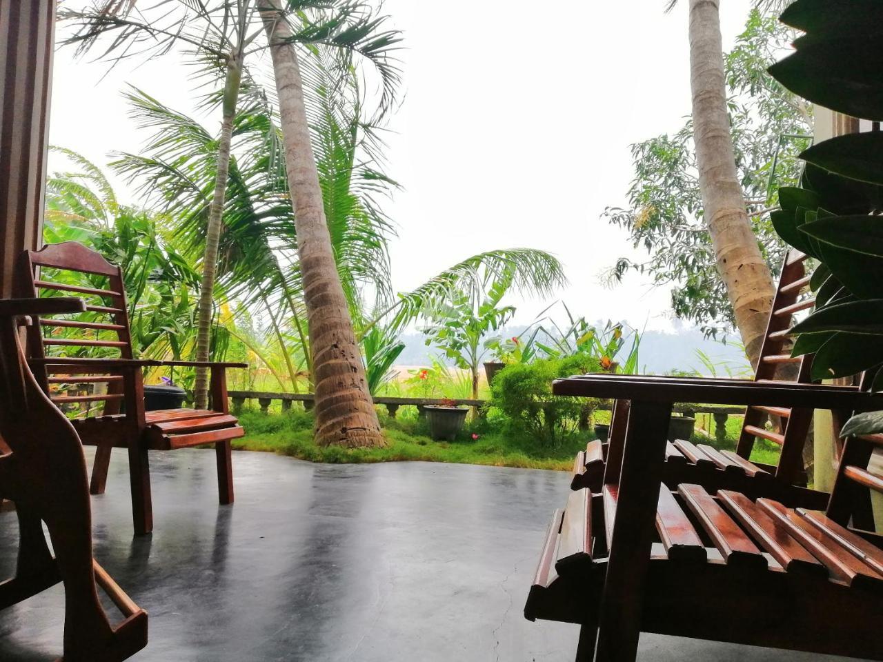 Viveka Inn Guest And Yala Safari Tissamaharama Kültér fotó