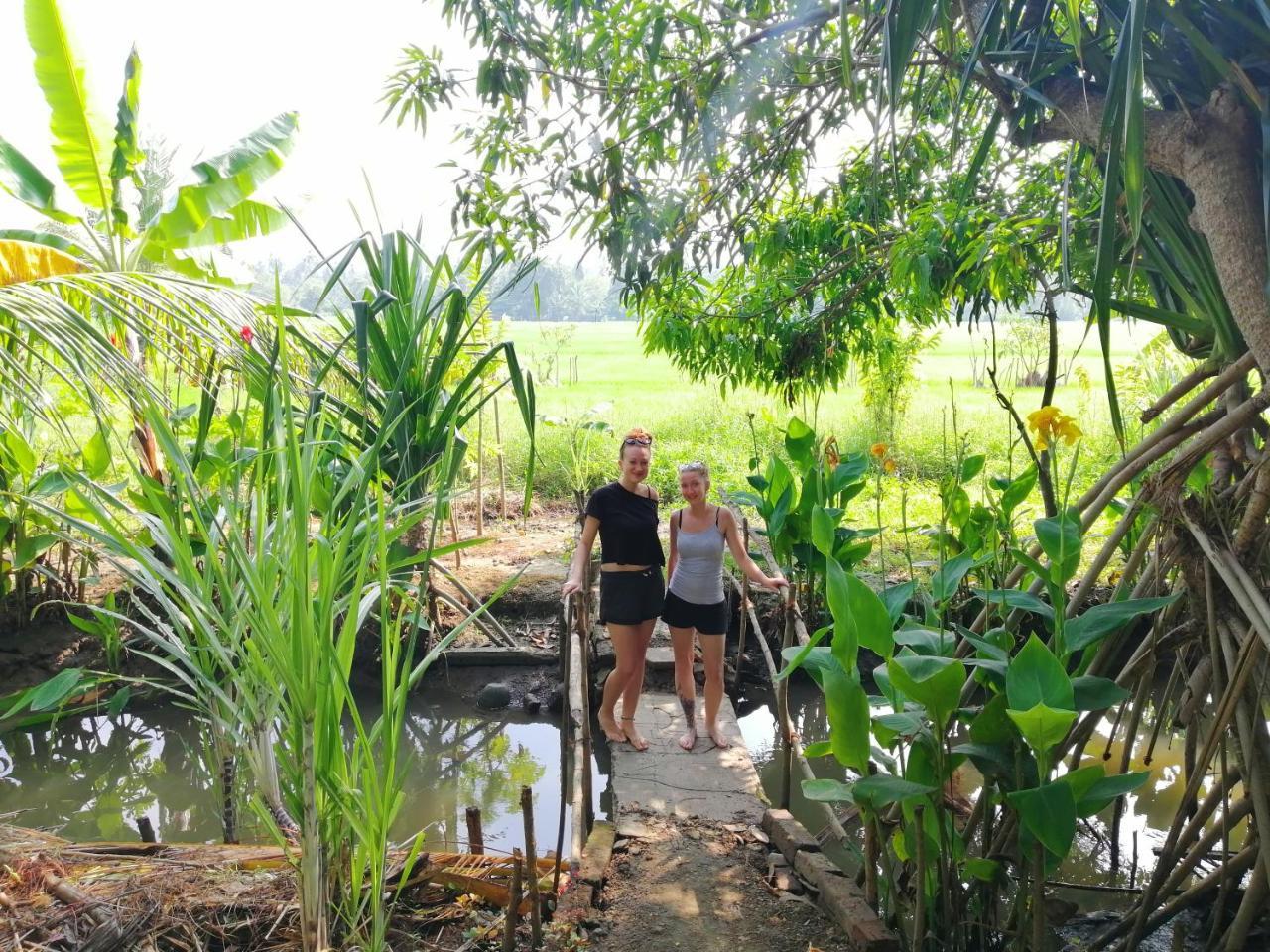 Viveka Inn Guest And Yala Safari Tissamaharama Kültér fotó