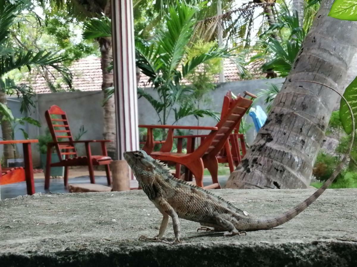 Viveka Inn Guest And Yala Safari Tissamaharama Kültér fotó