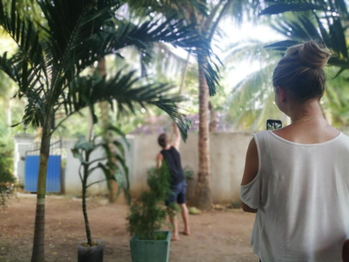 Viveka Inn Guest And Yala Safari Tissamaharama Kültér fotó
